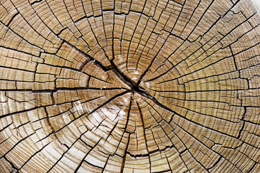 Similar image 1656574