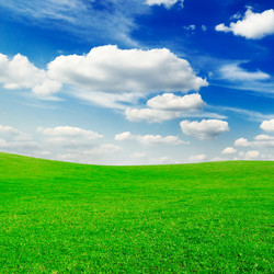 Similar image 1656575