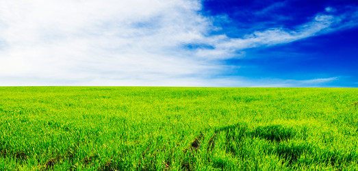 Similar image 1656578