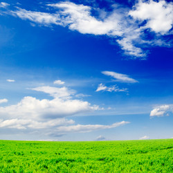 Similar image 1656582