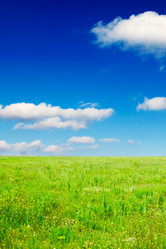 Similar image 1656583