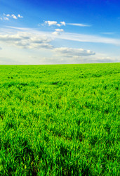 Similar image 1656619