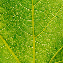 Similar image 1656622