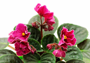 Similar image 1656633