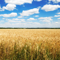 Similar image 1656651