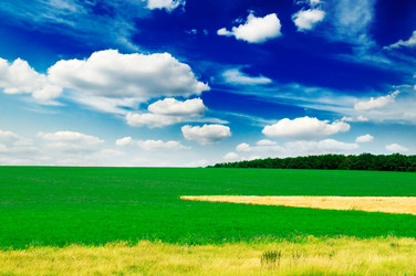 Similar image 1656668