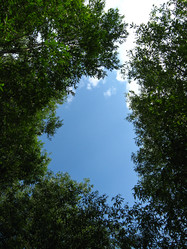 Similar image 1656865