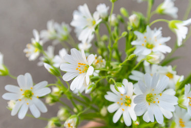 Similar image 1656868