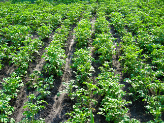 Similar image 1656874