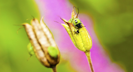 Similar image 1656932