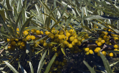 Similar image 1656974