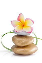 Similar image 1657012