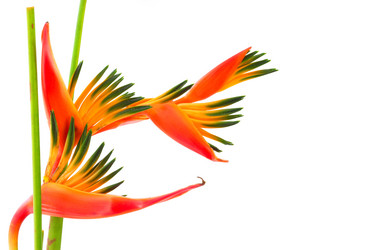 Similar image 1657016