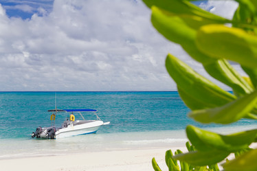 Similar image 1657018