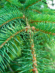 Similar image 1657045