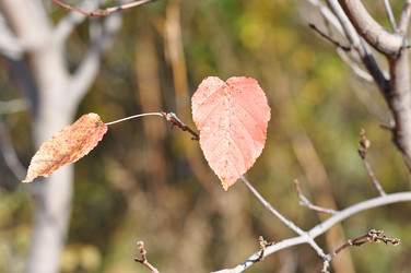 Similar image 1657074