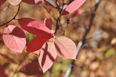 Similar image 1657075