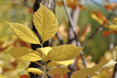 Similar image 1657076