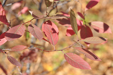 Similar image 1657077