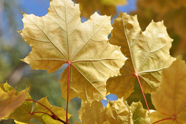 Similar image 1657078