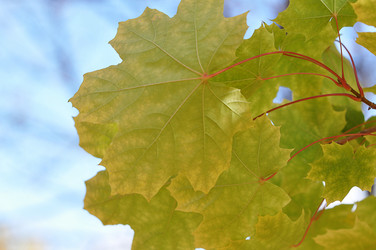 Similar image 1657079