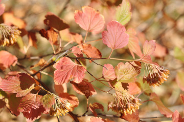 Similar image 1657080