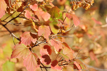 Similar image 1657083