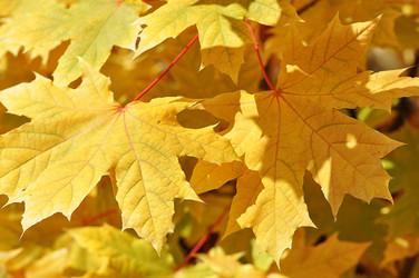 Similar image 1657085