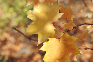 Similar image 1657086