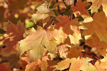 Similar image 1657088