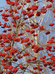 Similar image 1657253