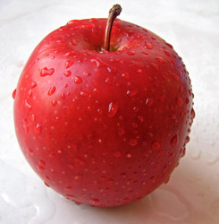 Similar image 1657258