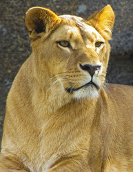 Similar image 1657260