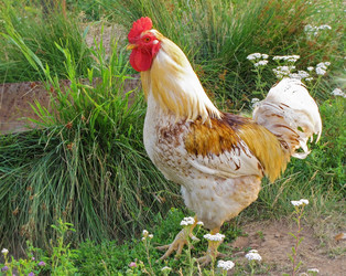 Similar image 1657262