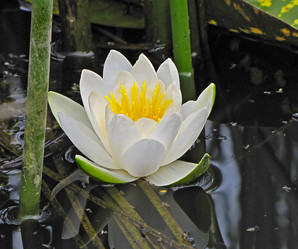 Similar image 1657264