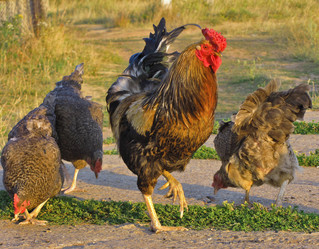 Similar image 1657266