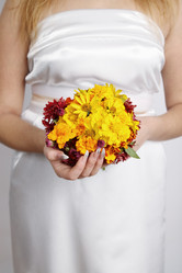 Similar image 1657268