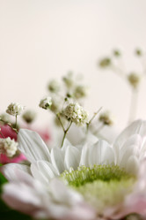 Similar image 1657284