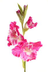 Similar image 1657302