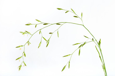 Similar image 1657307