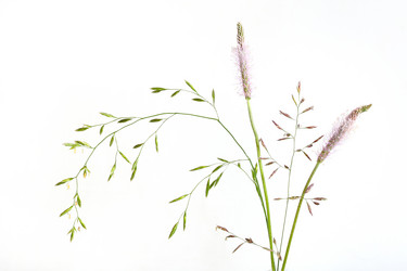 Similar image 1657309