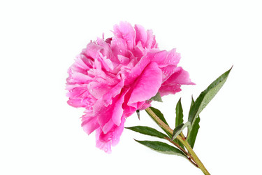 Similar image 1657312