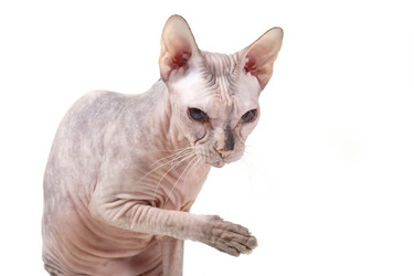 Similar image 1657315