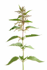 Similar image 1657316