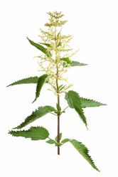 Similar image 1657317