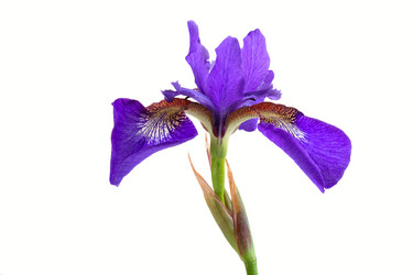 Similar image 1657318