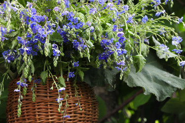 Similar image 1657321