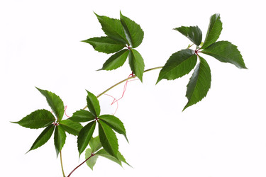 Similar image 1657322