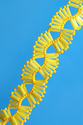 Similar image 1657324