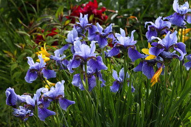 Similar image 1657325